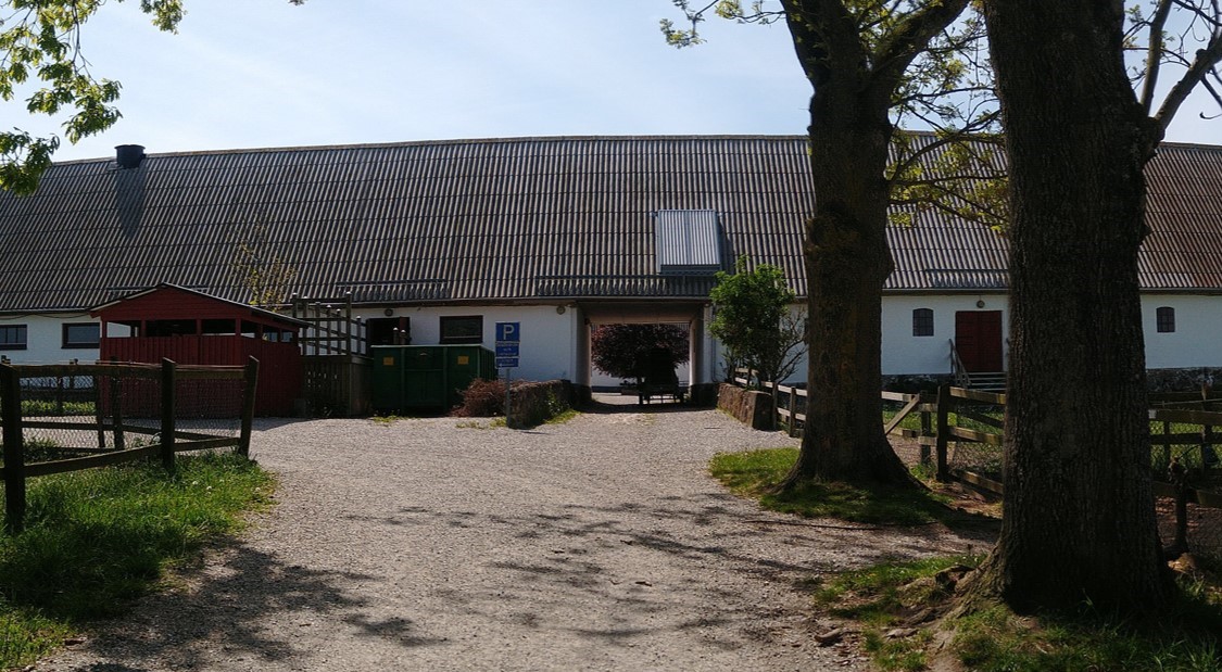 Bild från omgivningen